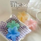  Kẹp Gắp Hàn Quốc Hoa Sứ Basic - 8cm 