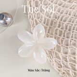  Kẹp Gắp Hàn Quốc Hoa Sứ Basic - 8cm 