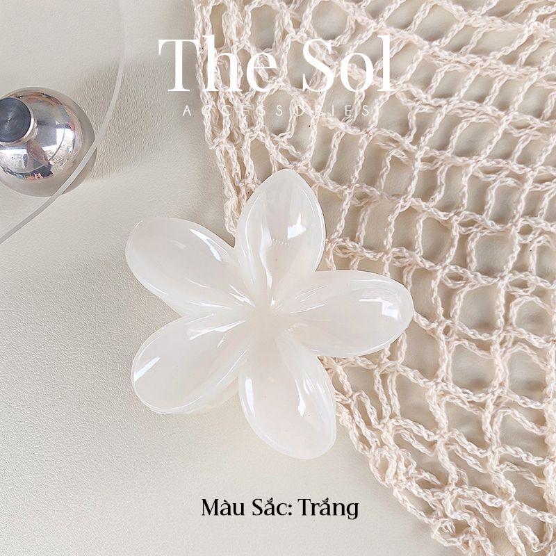  Kẹp Gắp Hàn Quốc Hoa Sứ Basic - 8cm 
