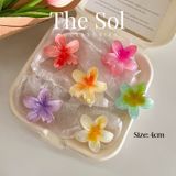  Kẹp Gắp Hàn Quốc Hoa Sứ Acrylic - 4cm 