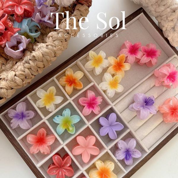  Kẹp Gắp Hàn Quốc Hoa Sứ Acrylic - 4cm 