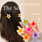 Kẹp Gắp Hàn Quốc Hoa Sứ Acrylic - 4cm 