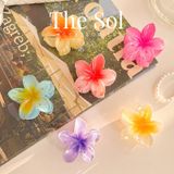  Kẹp Gắp Hàn Quốc Hoa Sứ Acrylic - 4cm 