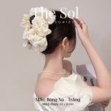  Kẹp Gắp Hàn Quốc Trendy Bông Xù 