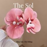  Kẹp Mỏ Vịt Hàn Quốc Hoa Phong Lan 
