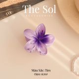  Kẹp Gắp Hàn Quốc Hoa Sứ Acrylic - 4cm 