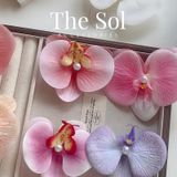  Kẹp Tóc Hàn Quốc The Orchids 