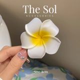  Kẹp Tóc Hàn Quốc Hoa Sứ 