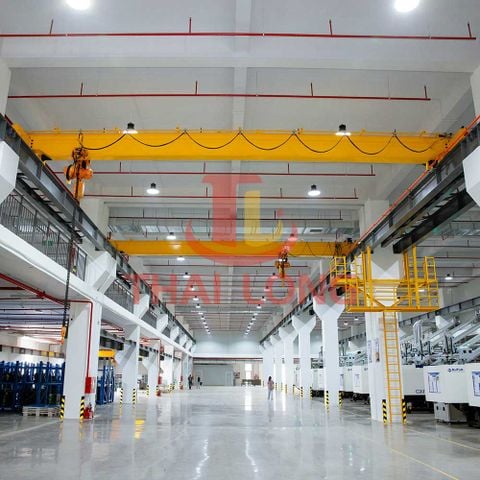  Cầu trục 5 tấn Hải Dương 
