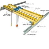  Cầu trục dầm đôi tiêu chuẩn 