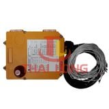  Điều khiển từ xa Telecrane F24-6D 