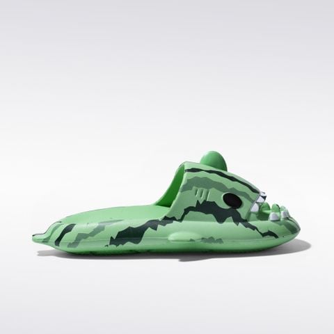 Baby Shark Slides 6