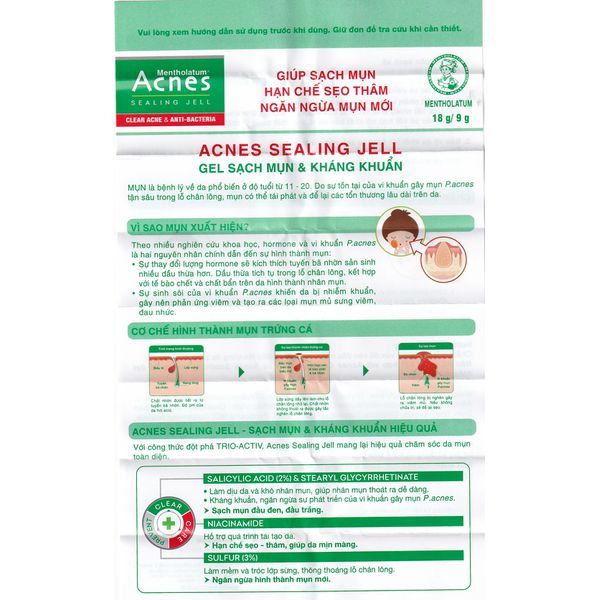 Gel Acnes Sealing Jell hỗ trợ sạch mụn, kháng khuẩn (18g)