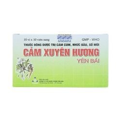 Cảm xuyên hương YB (Hộp 10 vỉ *10 viên) - Cảm cúm, cảm lạnh, hắt hơi, sổ mũi