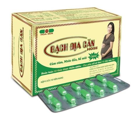 Bạch địa căn (10*10)