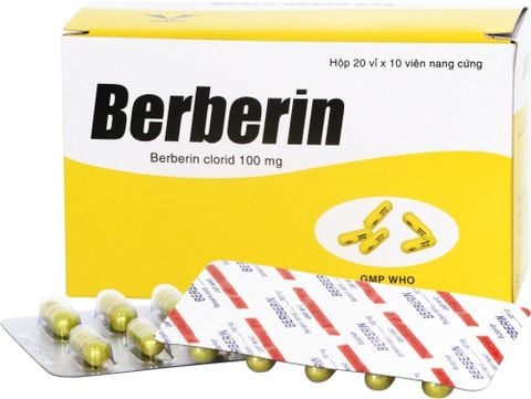 Berberin (Hộp10 vỉ*10 viên) - Tiêu chảy, đi ngoài, rối loạn tiêu hóa