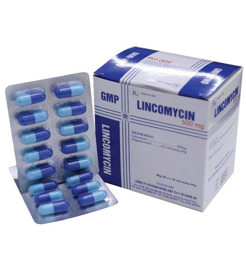 Lincomycin 500mg (nội) (10*10)