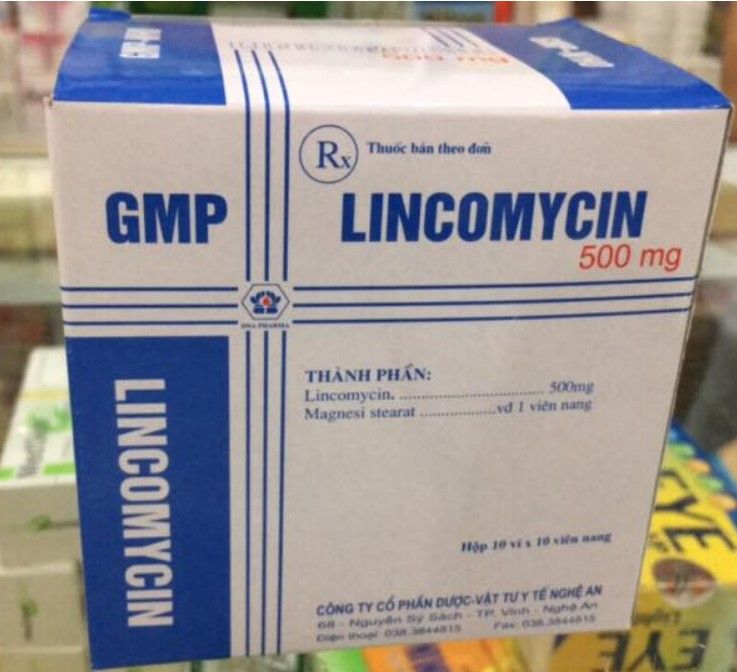 Lincomycin 500mg (nội) (10*10)