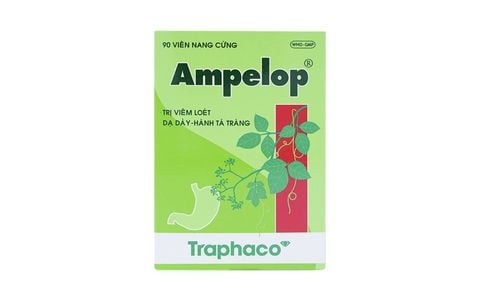 Ampelop - Hỗ trợ điều trị viêm loét dạ dày