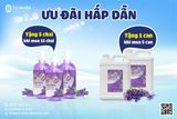 Combo 5 can tặng 1 cai nước rửa tay Handy Lavender can 5 lít