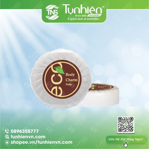 Combo 250 Viên Xà phòng BODY CHARM 10g