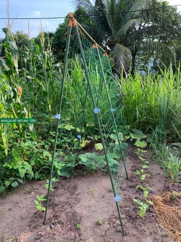  Giàn leo chữ A Daim TS 2.1 