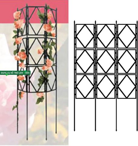  Khung trồng hoa hồng leo 60x150cm Daim 