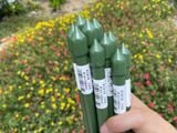  Ống thép bọc nhựa phi 16 