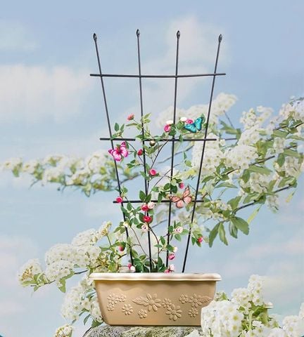  Khung hoa leo kiểu quạt Daim cao 120cm 