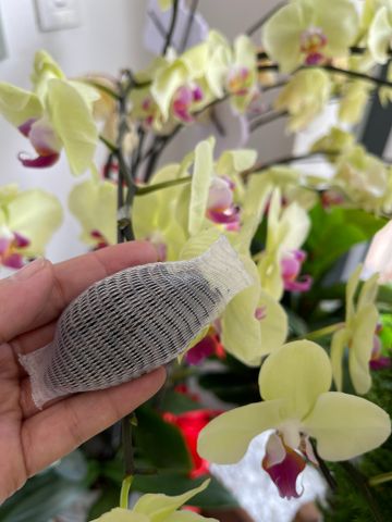  Phân hữu cơ đậm đặc túi lưới dạng viên dùng cho phong lan Bounce Back BB 