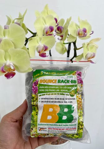  Phân hữu cơ đậm đặc túi lưới dạng viên dùng cho phong lan Bounce Back BB 