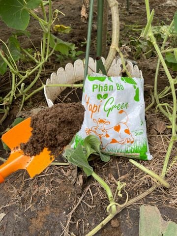  Phân bò hữu cơ đã qua xử lý Happi Green 