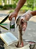  Chế phẩm sinh học Bio Lacto EM chai 1.2 lit 