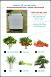  Chậu ghép trồng rau Daim Cao 70cm 
