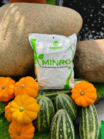  Phân bón hữu cơ sinh học Minro (viên nở) 