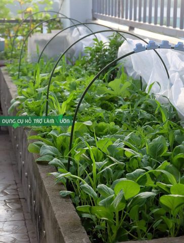  Khung vòm trồng rau C70cm x R90cm Daim 