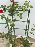  Khung đỡ cây vuông cạnh 28cm 