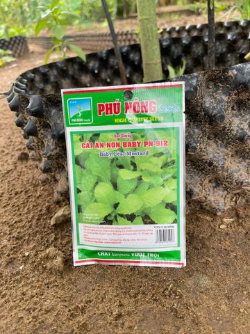  Hạt giống cải xanh baby PN 912 