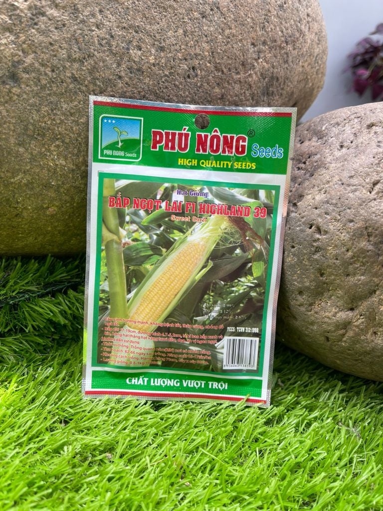  Hạt giống bắp ngọt Highland 39 
