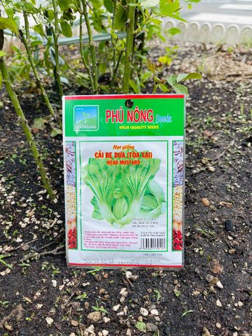  Hạt giống cải bẹ dưa (tòa xại) 