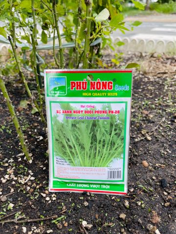  Hạt giống cải bẹ xanh ngọt đuôi phụng PN 28 