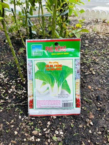  Hạt giống cải bẹ trắng Phú Nông 