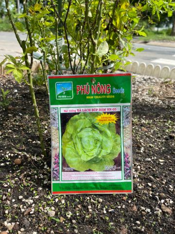  Hạt giống xà lách búp đăm HN 05 