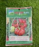  Hạt giống cà chua cạnh PN29 