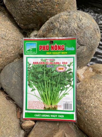  Hạt giống rau cần cọng xanh 282 