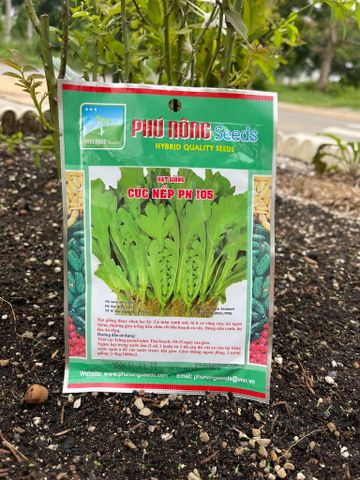  Hạt giống rau cúc nếp PN 105 