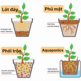  Viên đất nung Sfarm 