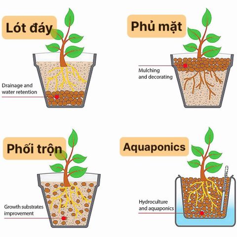  Viên đất nung Sfarm 