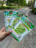  Hạt giống đậu bắp PN 816 