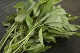  Hạt giống rau đay trắng PN 039 